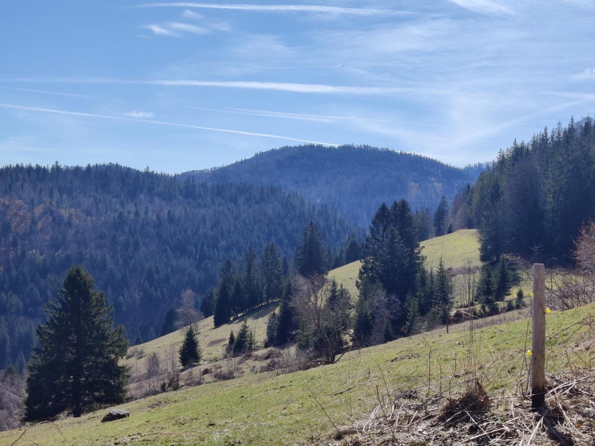 Berggasthaus Prager Boden Todtnau Exterior foto