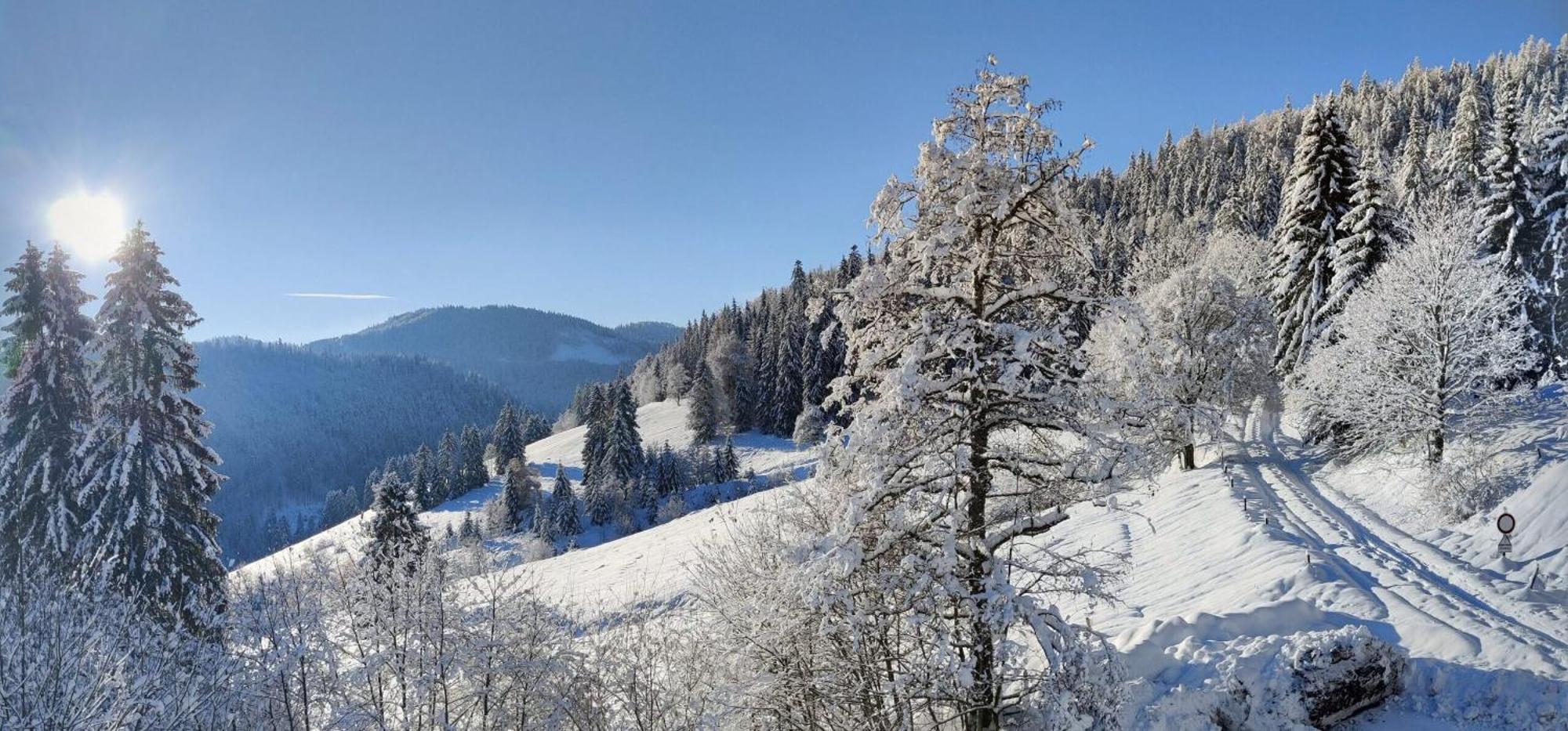 Berggasthaus Prager Boden Todtnau Exterior foto