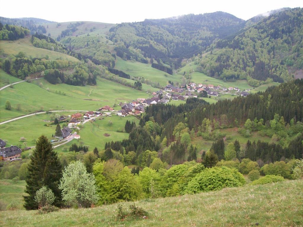 Berggasthaus Prager Boden Todtnau Exterior foto